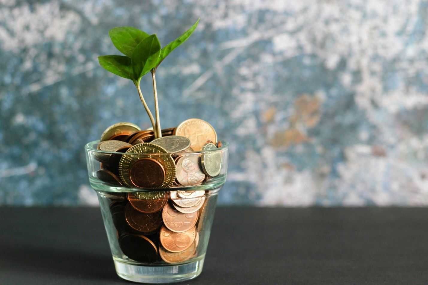 Glass cup filled with assorted coins and small green seedlings, symbolizing financial growth, savings, investment, and sustainability.